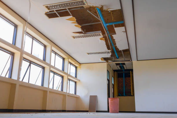 Best Basement water damage restoration  in Jal, NM