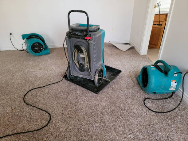 Water damage restoration mold remediation in NM