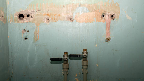 Best Mold removal after water damage  in Jal, NM